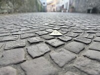 IMG_2209