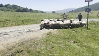 Onderweg naar Roncesvalles
