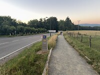IMG_2241