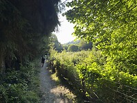 IMG_2243