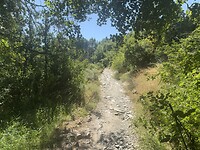 IMG_2244