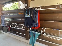 IMG_2252
