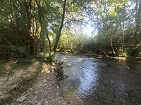 IMG_2258