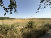 IMG_2294