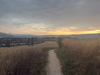 IMG_2301