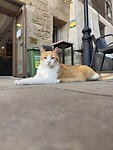 IMG_2372