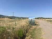 IMG_2377