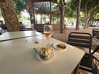 IMG_2386