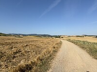 IMG_2390