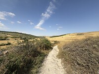 IMG_2495