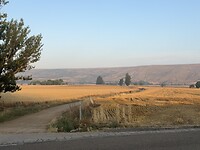 IMG_2504