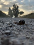IMG_2511
