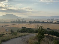 IMG_2516