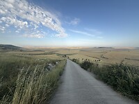 IMG_2520
