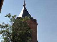 IMG_2596