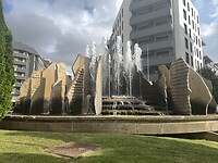 IMG_2616