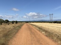 IMG_2659