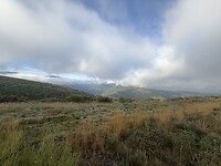 IMG_2740