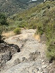 IMG_2744