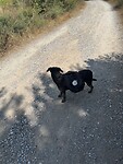 IMG_2745