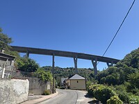 IMG_2766