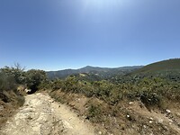 IMG_2769