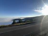 IMG_2779