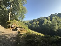 IMG_2800