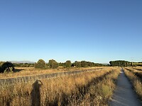 IMG_2707