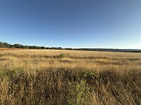 IMG_2708