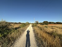 IMG_2710
