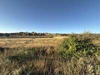 IMG_2709