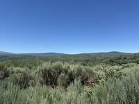 IMG_2713