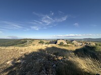 IMG_2719