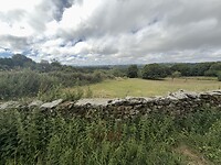 IMG_2812