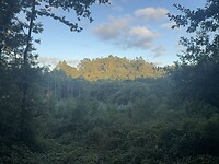 IMG_2841