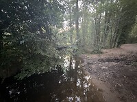 IMG_2842