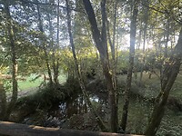 IMG_2845