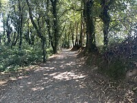 IMG_2848