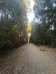 IMG_2852