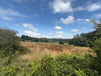 IMG_2869