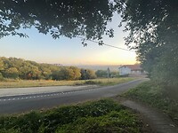 IMG_2877