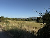 IMG_3964