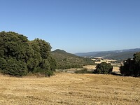 IMG_3965