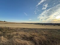IMG_4085