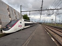 IMG_4100