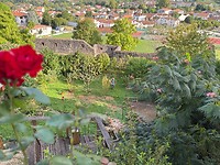 IMG_4244