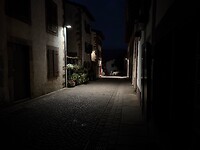 IMG_4251