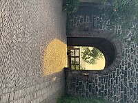 IMG_4256