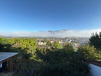IMG_4262